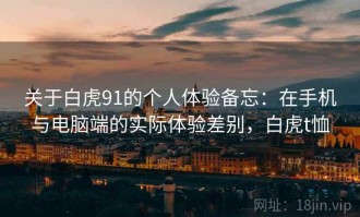 关于白虎91的个人体验备忘：在手机与电脑端的实际体验差别，白虎t恤