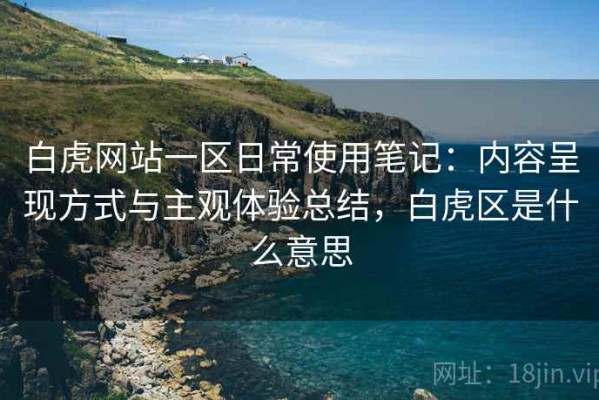 白虎网站一区日常使用笔记：内容呈现方式与主观体验总结，白虎区是什么意思