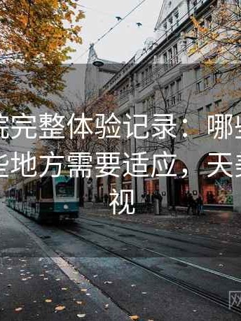 天美影院完整体验记录：哪些地方好用，哪些地方需要适应，天美原创影视
