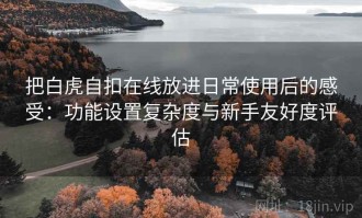 把白虎自扣在线放进日常使用后的感受：功能设置复杂度与新手友好度评估