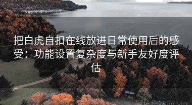 把白虎自扣在线放进日常使用后的感受：功能设置复杂度与新手友好度评估