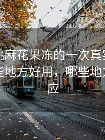 天美蜜桃麻花果冻的一次真实使用体验：哪些地方好用，哪些地方需要适应
