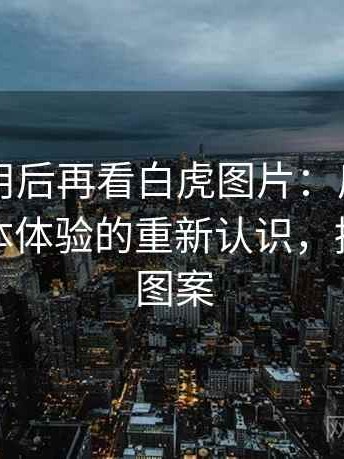 反复使用后再看白虎图片：反复使用后对整体体验的重新认识，播放白虎图案