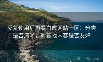 反复使用后再看白虎网站一区：分类是否清晰，对查找内容是否友好