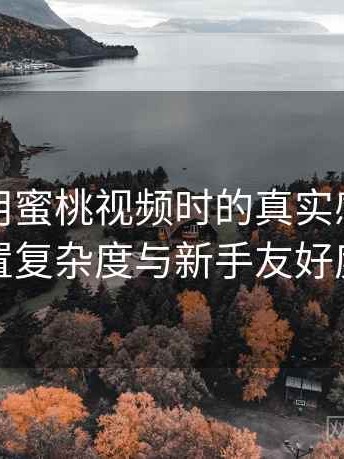 第一次用蜜桃视频时的真实感受：功能设置复杂度与新手友好度评估
