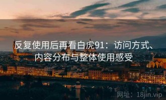 反复使用后再看白虎91：访问方式、内容分布与整体使用感受