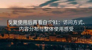 反复使用后再看白虎91：访问方式、内容分布与整体使用感受