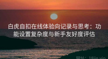 白虎自扣在线体验向记录与思考：功能设置复杂度与新手友好度评估