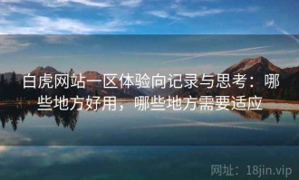 白虎网站一区体验向记录与思考：哪些地方好用，哪些地方需要适应