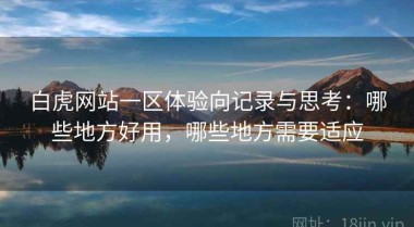 白虎网站一区体验向记录与思考：哪些地方好用，哪些地方需要适应