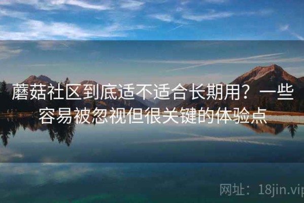 蘑菇社区到底适不适合长期用？一些容易被忽视但很关键的体验点