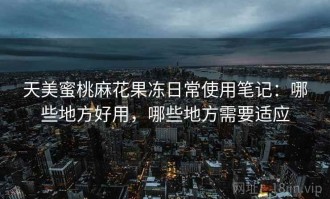 天美蜜桃麻花果冻日常使用笔记：哪些地方好用，哪些地方需要适应