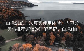 白虎91的一次真实使用体验：内容分类与推荐逻辑的理解笔记，白虎t恤