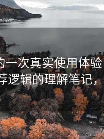 白虎91的一次真实使用体验：内容分类与推荐逻辑的理解笔记，白虎t恤