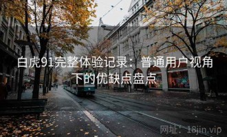 白虎91完整体验记录：普通用户视角下的优缺点盘点