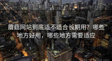 蘑菇网站到底适不适合长期用？哪些地方好用，哪些地方需要适应