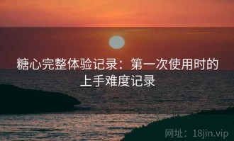 糖心完整体验记录：第一次使用时的上手难度记录