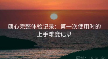 糖心完整体验记录：第一次使用时的上手难度记录