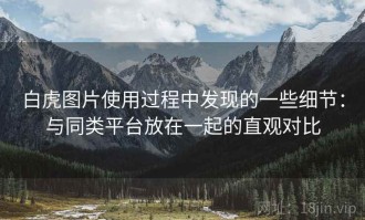 白虎图片使用过程中发现的一些细节：与同类平台放在一起的直观对比