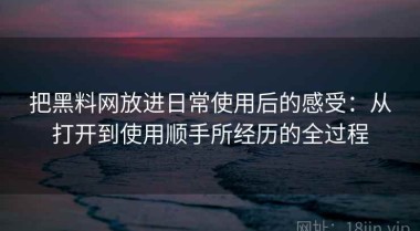 把黑料网放进日常使用后的感受：从打开到使用顺手所经历的全过程