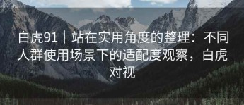 白虎91｜站在实用角度的整理：不同人群使用场景下的适配度观察，白虎对视