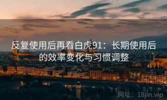 反复使用后再看白虎91：长期使用后的效率变化与习惯调整