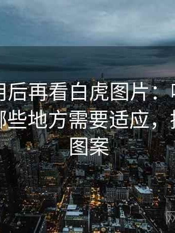 反复使用后再看白虎图片：哪些地方好用，哪些地方需要适应，播放白虎图案