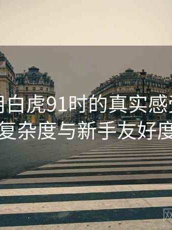 第一次用白虎91时的真实感受：功能设置复杂度与新手友好度评估