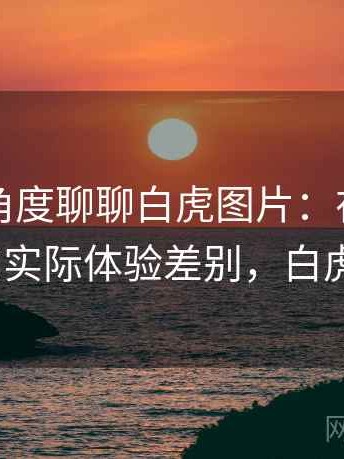 从用户角度聊聊白虎图片：在手机与电脑端的实际体验差别，白虎图片q版