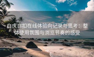 白虎自扣在线体验向记录与思考：整体使用氛围与浏览节奏的感受