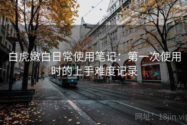 白虎嫩白日常使用笔记：第一次使用时的上手难度记录