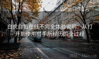 白虎自扣在线不完全体验说明：从打开到使用顺手所经历的全过程