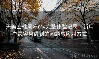 天美密桃果冻mv完整体验记录：新用户最容易遇到的问题与应对方式