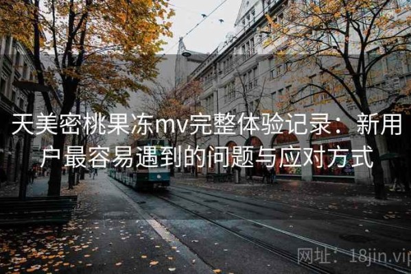 天美密桃果冻mv完整体验记录：新用户最容易遇到的问题与应对方式