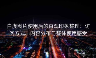 白虎图片使用后的直观印象整理：访问方式、内容分布与整体使用感受