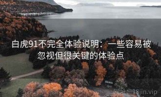 白虎91不完全体验说明：一些容易被忽视但很关键的体验点