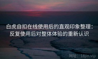 白虎自扣在线使用后的直观印象整理：反复使用后对整体体验的重新认识