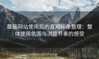 蘑菇网站使用后的直观印象整理：整体使用氛围与浏览节奏的感受