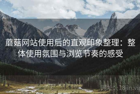 蘑菇网站使用后的直观印象整理：整体使用氛围与浏览节奏的感受