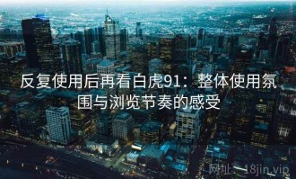 反复使用后再看白虎91：整体使用氛围与浏览节奏的感受