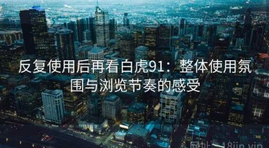 反复使用后再看白虎91：整体使用氛围与浏览节奏的感受