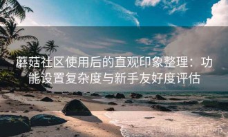 蘑菇社区使用后的直观印象整理：功能设置复杂度与新手友好度评估