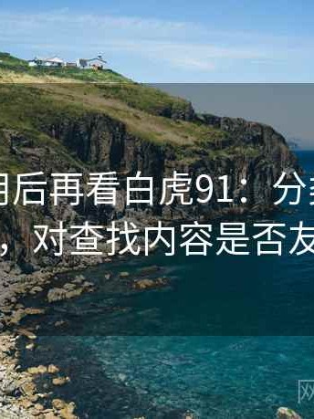 反复使用后再看白虎91：分类是否清晰，对查找内容是否友好
