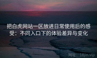 把白虎网站一区放进日常使用后的感受：不同入口下的体验差异与变化