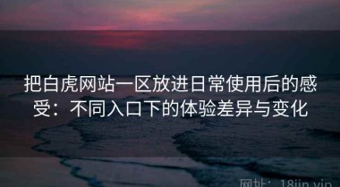 把白虎网站一区放进日常使用后的感受：不同入口下的体验差异与变化