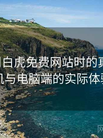第一次用白虎免费网站时的真实感受：在手机与电脑端的实际体验差别