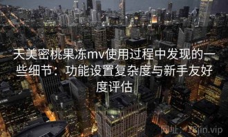 天美密桃果冻mv使用过程中发现的一些细节：功能设置复杂度与新手友好度评估
