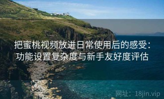 把蜜桃视频放进日常使用后的感受：功能设置复杂度与新手友好度评估