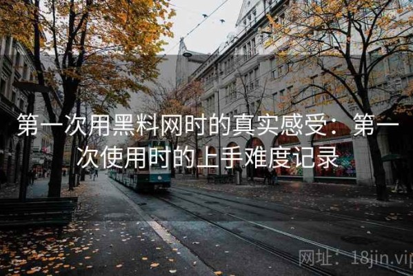 第一次用黑料网时的真实感受：第一次使用时的上手难度记录