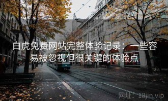 白虎免费网站完整体验记录：一些容易被忽视但很关键的体验点